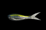 BASSTRIX BAIT FRY