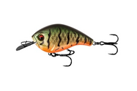 13 FISHING JABBER JAW HYBRID SQUAREBILL CRANKBAIT