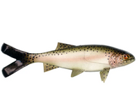 RIVER2SEA JSJ TRIGGER TROUT SWIMBAIT