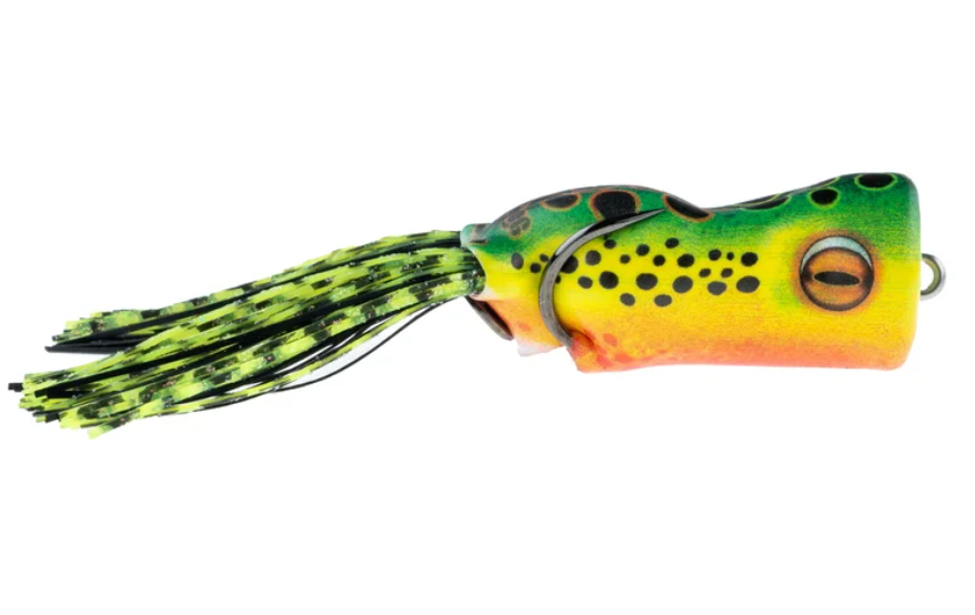 SCUM FROG PAINTED TROPHY SERIES POPPER FROG