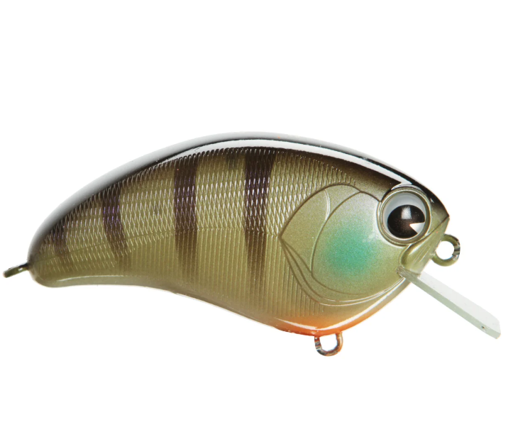 IMA BILL LOWEN SQUAREBILL CRANKBAIT