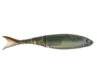 Z-MAN RAZOR SHADZ SWIMBAIT