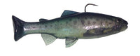 HUDDLESTON DELUXE 6" TROUT TOP HOOK SWIMBAITS