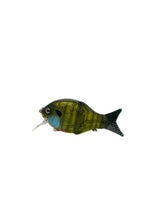 BLACK DOG BAIT 4" SHELLCRACKER G2