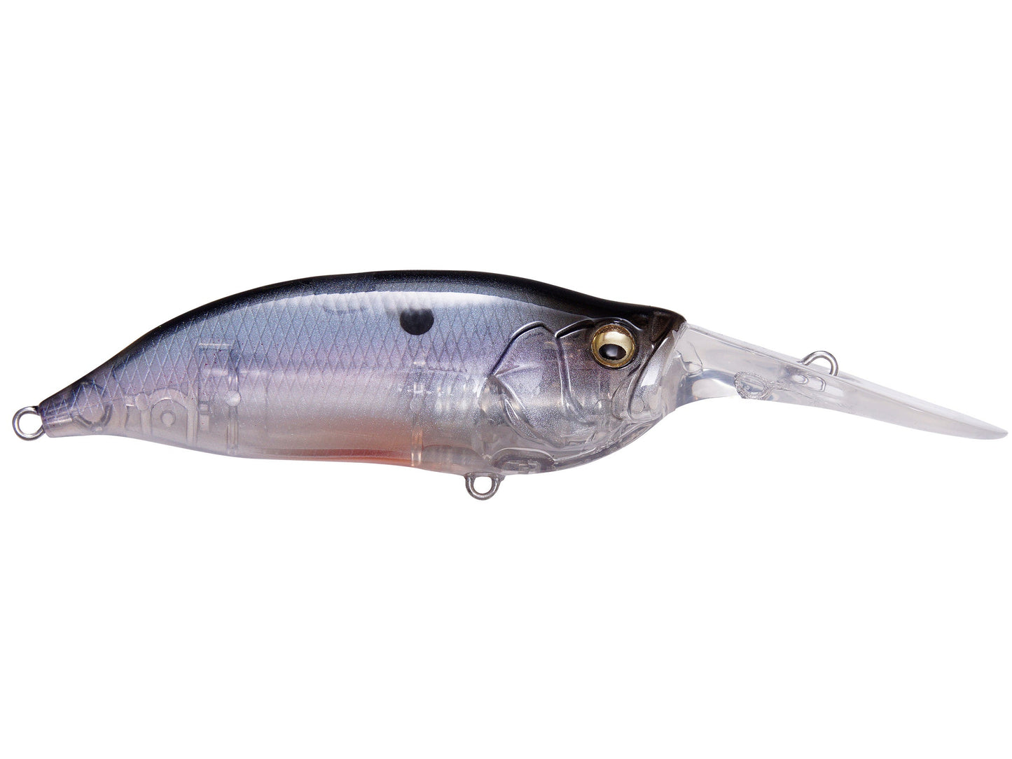 MEGABASS IxI SHAD TYPE-3 CRANKBAIT