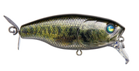 DEPS BUZZJET JR.